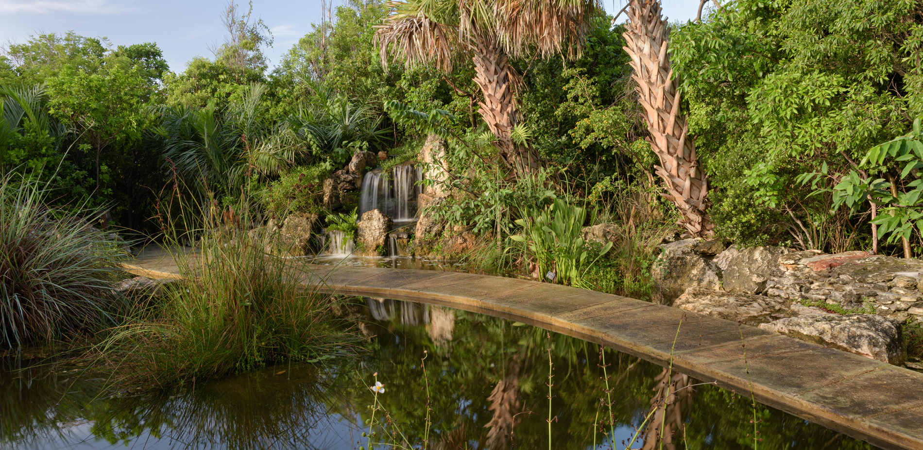 The Leon Levy Native Plant Preserve Freshwater Wetland Exhibition